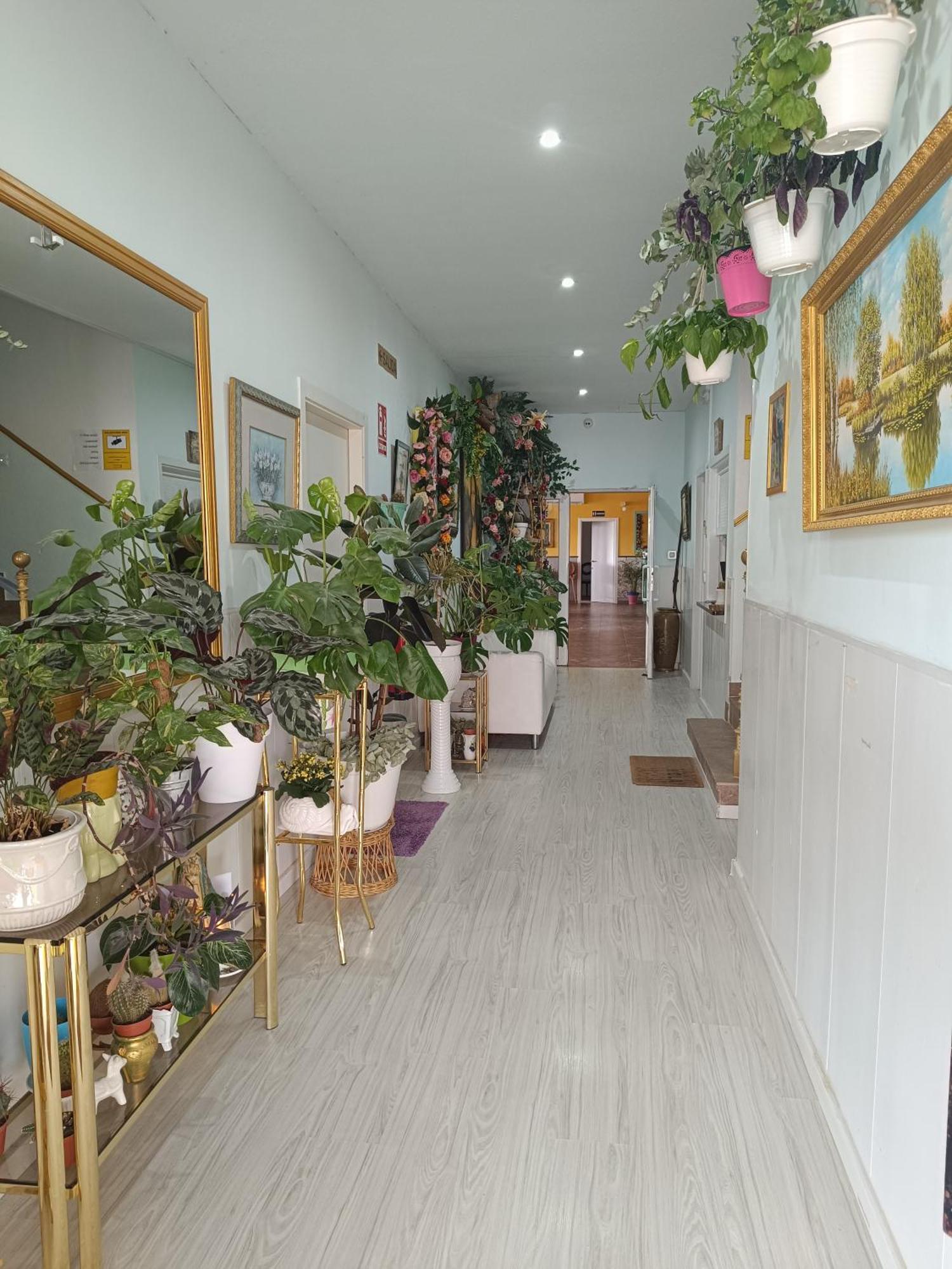 Hostal Fuente Del Pino Хумилья Экстерьер фото